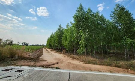 ขายที่ดิน - ขายที่ดิน 64 ไร่ (บึง-บ่อวิน-เขาขยาย) เหมาะทำหมู่บ้าน