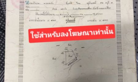 ขายที่ดิน - ขายที่ดินสวย อำเภอเมืองนครราชสีมา 3 ไร่ 1งาน 73ตารางวา