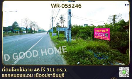 ขายที่ดิน - ที่ดินโคกไม้ลาย 46 ไร่ 311 ตร.ว. แยกหนองชะอม เมืองปราจีนบุรี ใกล้ มจพ.วิทยาเขตปราจีนบุรี
