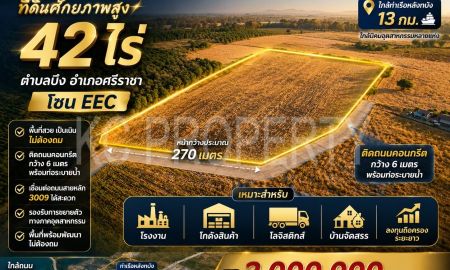ขายที่ดิน - ที่ดินแปลงสวย 42 ไร่ ใกล้ถนน 3009 ศรีราชา โซน EEC ศักยภาพโรงงาน โกดัง