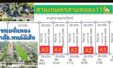 ขายที่ดิน - ขายที่ดินราคาถูกมาก ทำเลดี อากาศปลอดโปร่งโล่งสบาย ตำบลบึงบา อำเภอหนองเสือ จังหวัดปทุมธานี