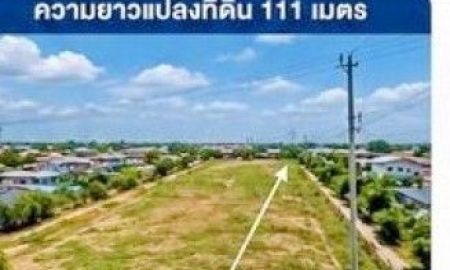 ให้เช่าที่ดิน - ใกล้รพ.นิคมพัฒนา 900 ม.ติดถนนใหญ่ ถ.นิคมพัฒนา ที่ดินเปล่าให้เช่า 2ไร่ 2งาน ย่านอุตสาหกรรมไปรษณีย์นิคมพัฒนา 1 กม.