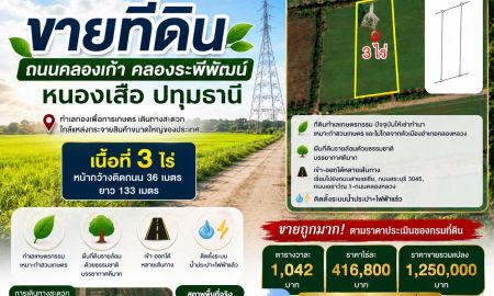 ขายที่ดิน - ขายที่ดิน ถนนคลองเก้า คลองระพีพัฒน์ หนองเสือ ปทุมธานี