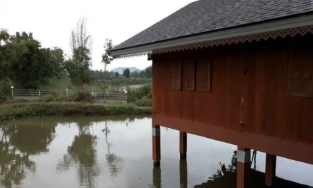 ขายที่ดิน - ขายที่ดินพร้อมบ้านและสวนลำไย 14 ไร่ ทำเลดีมาก อ.เมือง จ.ลำพุน