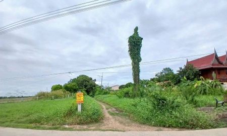 ขายที่ดิน - ขายที่ดิน ซอยวัดศรีประชาธรรม(วัดใหม่บัวชม) วังน้อย