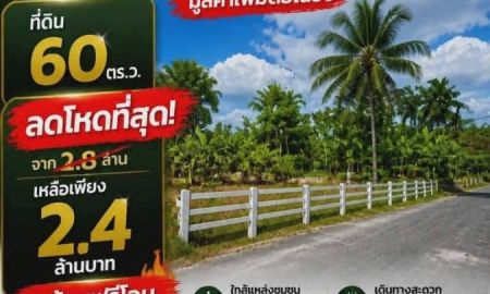 ขายที่ดิน - ลดด่วน 400,000 บ.!! ที่ดิน 60 ตร.ว. ทำเลทอง ใจกลางอำเภอเมือง กระบี่ ใกล้เซ็ลทรัล สนง.เทศบาลเมืองกระบี่