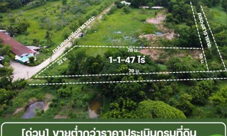 ขายที่ดิน - ขายที่ดินบ้านนา นครนายก 547 ตร.วา แปลงมุม ติดถนน ติดน้ำ ราคาต่ำกว่าราคาประเมินกรมที่ดิน อยู่ในชลพฤกษ์รีสอร์ท
