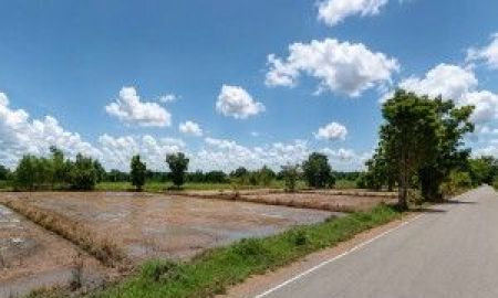 ขายที่ดิน - ขายที่ดินสวย ทำเลดีมาก ติดถนน 2 ด้าน ตำบลเด่นใหญ่ อำเภอหันคา จังหวัดชัยนาท