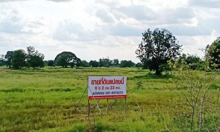 ขายที่ดิน - ขายที่ดินชัยภูมิ ต่ำกว่าประเมิน 6-2-23 ไร่ ตำบลหนองบัวใหญ่ อำเภอจัตุรัส จังหวัดชัยภูมิ