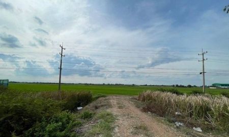 ขายที่ดิน - ขายทำเลดีและพื้นที่ที่ดินสวยมาก ต.บางพระขาว อ.บางบาล จ.พระนครศรีอยุธยา