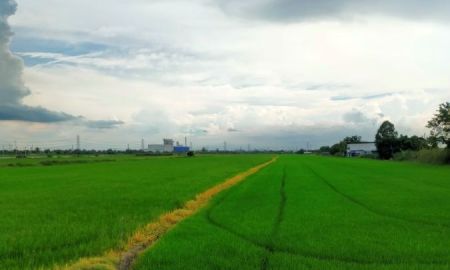 ขายที่ดิน - ที่ดินเหมาะสร้างโรงงาน 92 ไร่ พื้นที่สีม่วง อยู่ อ.ไทรน้อย จังหวัดนนทบุรี