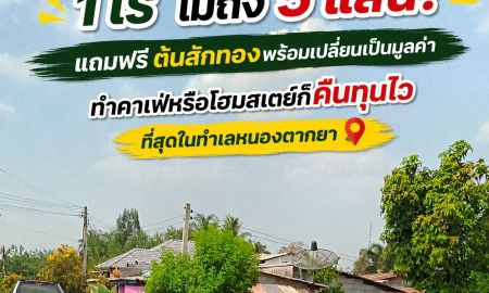 ขายที่ดิน - ขายที่ดิน 1 ไร่ แถมฟรีต้นสักทอง หนองตากยา กาญจนบุรี ทำเลสวย ใกล้ชุมชน เหมาะทำบ้านสวน คาเฟ่ ซื้อเก็บลงทุน ราคาถูก/ต่ำกว่าประเมิน]