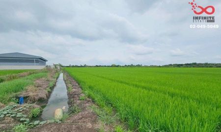 ขายที่ดิน - ขายที่ดิน 2-3-18 ไร่ สุวินทวงศ์ ใกล้ตลาดฉิน คลองหลวงแพ่ง ฉะเชิงเทรา