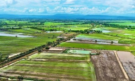 ขายที่ดิน - ขายที่ดินโฉนดครุตแดง อ.ปากพลี จ.นครนายก เจ้าของขายเอง ไม่มีนายหน้า
