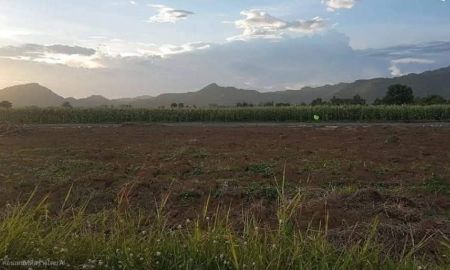 ขายที่ดิน - ขายที่ดิน 75 ตร.ว. ต.ท่าคล้อ อ.แก่งคอย สระบุรี ใกล้แหล่งท่องเที่ยว