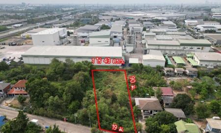 ขายที่ดิน - ขายที่ดิน 443 ตรว ผังสีม่วง ใกล้นิคมอุตสาหกรรมบางกะดี บางพูน ปทุมธานี