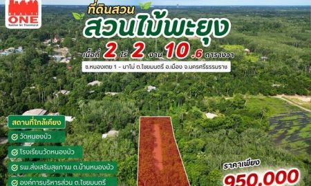ขายที่ดิน - สวนไม้พะยูง พร้อมบ่อน้ำภายในแปลง เนื้อที่ 2-2-10.61 ไร่ ต.ไชยมนตรี