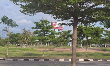 ขายที่ดิน - ขายที่ดินเกือบสามไร่ ติดถนนใหญ่ ต.สมอแข อ.เมือง จ.พิษณุโลก ราคาต่อรองได้