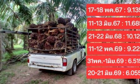 ขายที่ดิน - ขายสวนปาล์มน้ำมันและยางพารา ติดคลอง ติดลำห้วย โฉนด 25 ไร่ ใกล้หาดทุ่งวัวแล่นเพียง 5 นาที ต.สะพลี ปะทิว ชุมพร