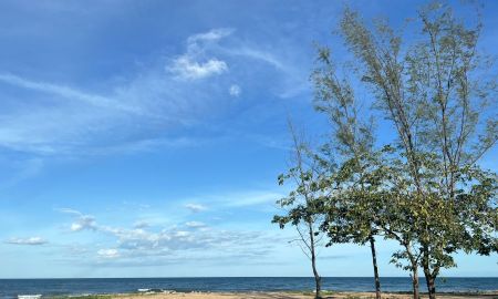 ขายที่ดิน - ที่ดินติดทะเลหาดส่วนตัว ทุ่งโก จังหวัดประจวบคีรีขันธ์ เนื้อที่ดิน 384 ตารางวา