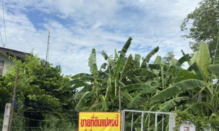 ขายที่ดิน - ขายที่ดินแปลงเล็กอยู่ ถนนพหลโยธินซอย 54 สะพานใหม่ ใกล้ตลาดยิ่งเจริญใกล้สถานีรถไฟฟ้าเค้าออกซอย 500 เมตร