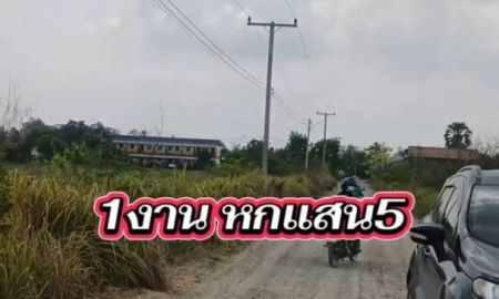 ขายที่ดิน - ที่ดินถมแล้วไฟฟ้าประปาพร้อม ห่าง มศว 3 กิโล 100 ตารางวา หน้ากว้าง 20 คูณ 20 สี่เหลี่ยมจัตุรัสสวยมาก ถนนสาธารณะกว้างๆ 8 เมตรกำลังจะลงเป็นลาดยางแล้วค่ะ