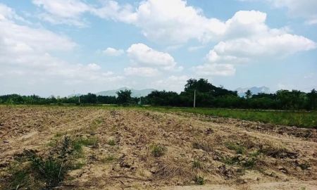 ขายที่ดิน - ขายที่ดิน โฉนด นส.4จ 2 ไร่ (800ตรว.) ติดทางสาธารณะ เข้าออกสะดวก มีน้ำและไฟฟ้า