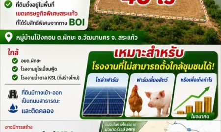 ขายที่ดิน - ขายที่ดิน เนื้อที่ 45 ไร่ ห่างจากชุมชนประมาณ 2 กิโลเมตร จ.สระแก้ว