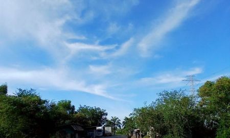 ขายที่ดิน - ขายด่วนที่ดินถมแล้ว ระแหง-ลาดหลุมแก้ว ซ.เทศบาล 5 ถปทุมธานี พื้นที่ 3-2-35 ไร่ ตั้งขายวาละ 6,620 บาท (ต่อรองได้)