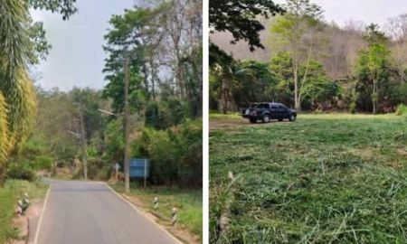 ขายที่ดิน - ขายที่ดินตำบลแม่เหี๊ยะทางขึ้นพระธาตุดอยคำโฉนดพร้อมโอน