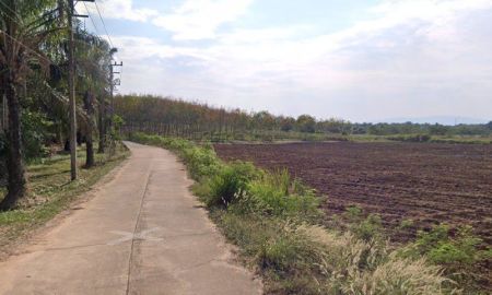 ขายที่ดิน - ขายที่ดินหนองไผ่แก้ว 8 ไร่ ติดนิคมโรจนะเฟส2 ใกล้แยกหนองปรือ-8กม. อ.บ้านบึง ชลบุรี