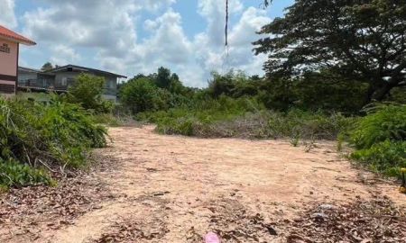 ขายที่ดิน - ขายที่ดินใจกลางเมืองระยอง ท่าประดู่ 120 ตรว. ซอยพินิจบำรุง ใกล้ถนนเส้นสุขุมวิท3-800เมตร อ.เมืองระยอง