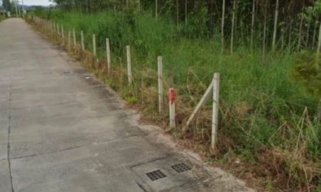 ขายที่ดิน - ขายที่ดินใกล้นิคมอุตสาหกรรม ทำเลศักยภาพ จังหวัดชลบุรี