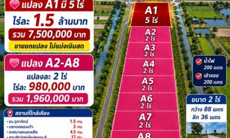 ขายที่ดิน - ที่ดินใกล้กรุงเทพ #ที่ดินราคาถูก #ที่ดินคลอง9 รังสิต ปทุมธานี (เดินทางจาก กทม. 1 ชั่วโมงเท่านั้น เข้าจากถนนรังสิต นครนายก 4 กม.)