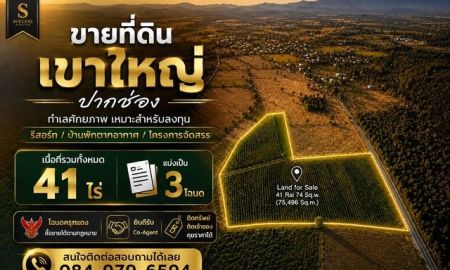 ขายที่ดิน - ขาย 41 ไร่ ที่ดินเขาใหญ่ ปากช่อง ที่ดินแปลงใหญ่ ทำเลศักยภาพ เหมาะสำหรับลงทุน พัฒนารีสอร์ท บ้านพักตากอากาศ หรือแลนด์แบงก์ในอนาคต