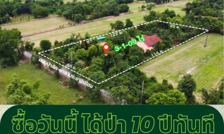 ขายบ้าน - ไม่ต้องรอ 10 ปี เพื่อให้ได้สวนป่า! ขายที่ดินนครนายก 3 ไร่เศษ ผังสีชมพู พร้อมบ้านและสวนผลไม้ใหญ่ ใกล้เมืองนครนายก**