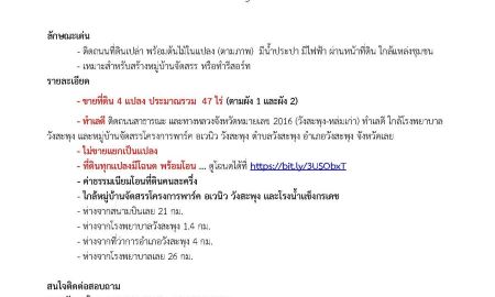 ขายที่ดิน - ประกาศขายที่ดินแปลงใหญ่รวม 47 ไร่ ติดทางหลวงจังหวัดหมายเลข 2016 (วังสะพุง-หล่มเก่า) อำเภอวังสะพุง จังหวัดเลย