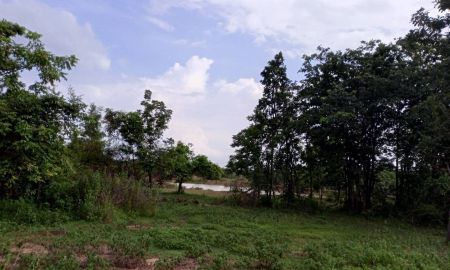 ขายที่ดิน - ขายที่ดิน ต.บ้านกล้วย อ.ชนแดน จ.เพชรบูรณ์ พื้นที่ 4 ไร่