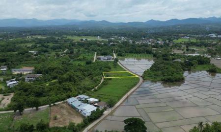 ขายที่ดิน - ขายที่ดินตำบลหางดงห่างตลาดสดเพียง 3.2 กมพร้อมโอน