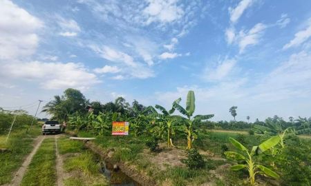 ขายที่ดิน - ขายที่ดินปทุมธานีลาดหลุมแก้วราคาดีมากทำเลดีมาก