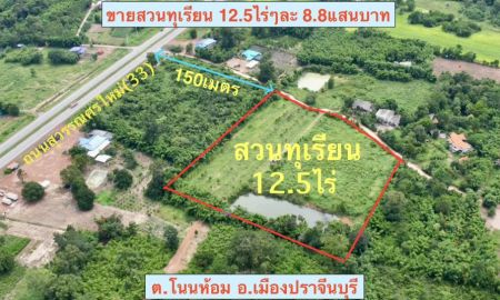 ขายที่ดิน - ขายสวนทุเรียน 12.5ไร่ ทุเรียนให้ผลผลิตแล้ว ใกล้ถนนสุวรรณศรตัดใหม่ ต.โนนห้อม อ.เมือง จ.ปราจีนบุรี