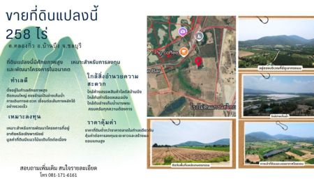 ขายที่ดิน - ขายที่ดินแปลงใหญ่ 259 ไร่ ต.คลองกิ่ว อ.บ้านบึง จ.ชลบุรี ทำเลศักยภาพ ติดถนนใหญ่ เหมาะลงทุนและพัฒนาโครงการ