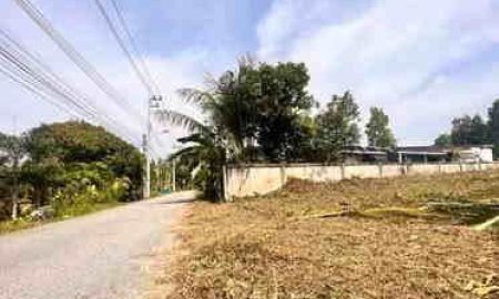 ขายที่ดิน - ขายที่ดิน ห้วยใหญ่ ชากแง้ว ทำเลดี เหมาะสร้างบ้านหรือพูลวิลล่า