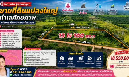 ขายที่ดิน - ขายที่ดิน 13 ไร่ 100 ตารางวา ตำบลนพรัตน์ อำเภอหนองเสือ จังหวัดปทุมธานี