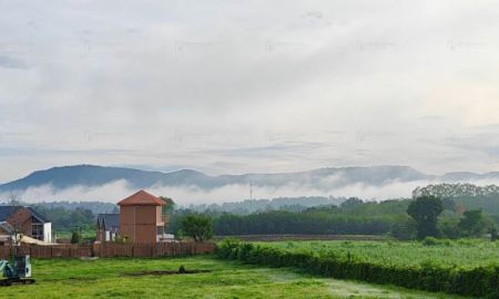 ขายที่ดิน - ขายที่ดินวิวสวย เขาใหญ่ โซนคลองม่วง ปากช่อง 1 ไร่ 2 งาน 92.2 ตร.วา เพียง 2.65 บ. / ไร่ (6,625 บ./ตร.วา) ราคารวม 4,584,500 บาท