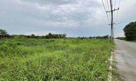 ขายที่ดิน - ขายที่ดินซอยวัดแพรกวังตะเคียน 4 ไร่ ติดถนนคอนกรีต ใกล้ถนนเส้นสุวินทวงศ์304-800เมตร อ.เมืองฉะเชิงเทรา