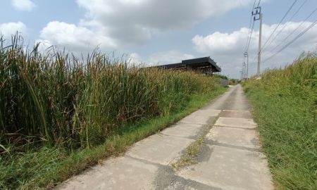 ขายที่ดิน - ขายที่ดินผืนใหญ่ 101 ตร.ว. ร่มเกล้า 19 แยก 6 ลาดกระบัง เหมาะทำโกดัง/โฮมออฟฟิศ/สร้างบ้านหลังใหญ่ ใกล้สนามบินสุวรรณภูมิ & ถ.เจ้าคุณทหาร