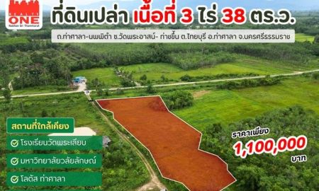 ขายที่ดิน - ที่ดินเปล่า 3 ไร่ 38 ตารางวา อ.ท่าศาลา ราคาเพียง 1,100,000 บาท