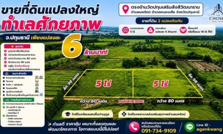 ขายที่ดิน - ขายที่ดินแปลงใหญ่ ทำเลศักยภาพ 2 แปลงติดกัน ขนาดแปลงละ 5 ไร่ จ.ปทุมธานี ตรงข้ามวัดปทุมเสริมรังสีวัฒนาราม