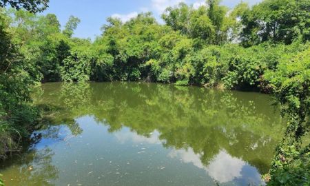 ขายที่ดิน - ขายที่ดินพร้อมสวนและสิ่งปลูกสร้าง8หลัง บนที่ดิน 8ไร่ 41ตรว.